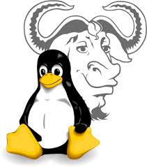 gnuLinux01 gnuLinux01